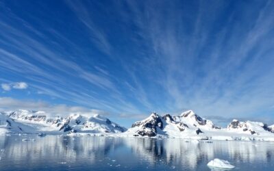 Vi svigter det Arctic Report Card
