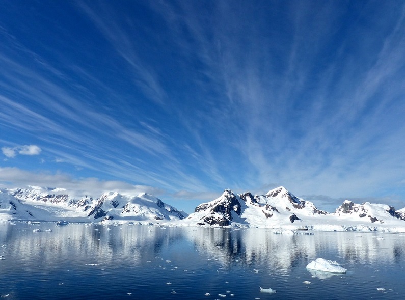 Vi svigter Arctic Report Card